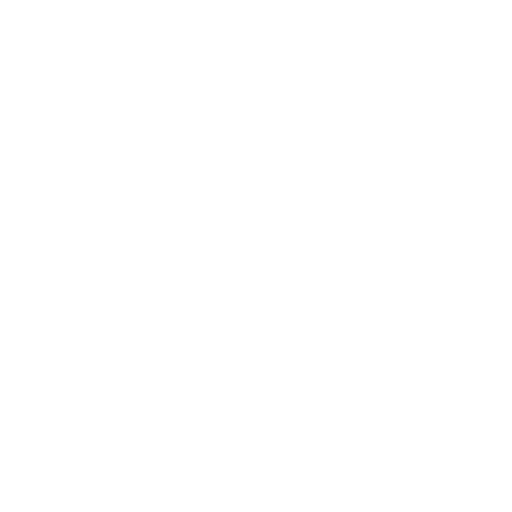 Icon 5